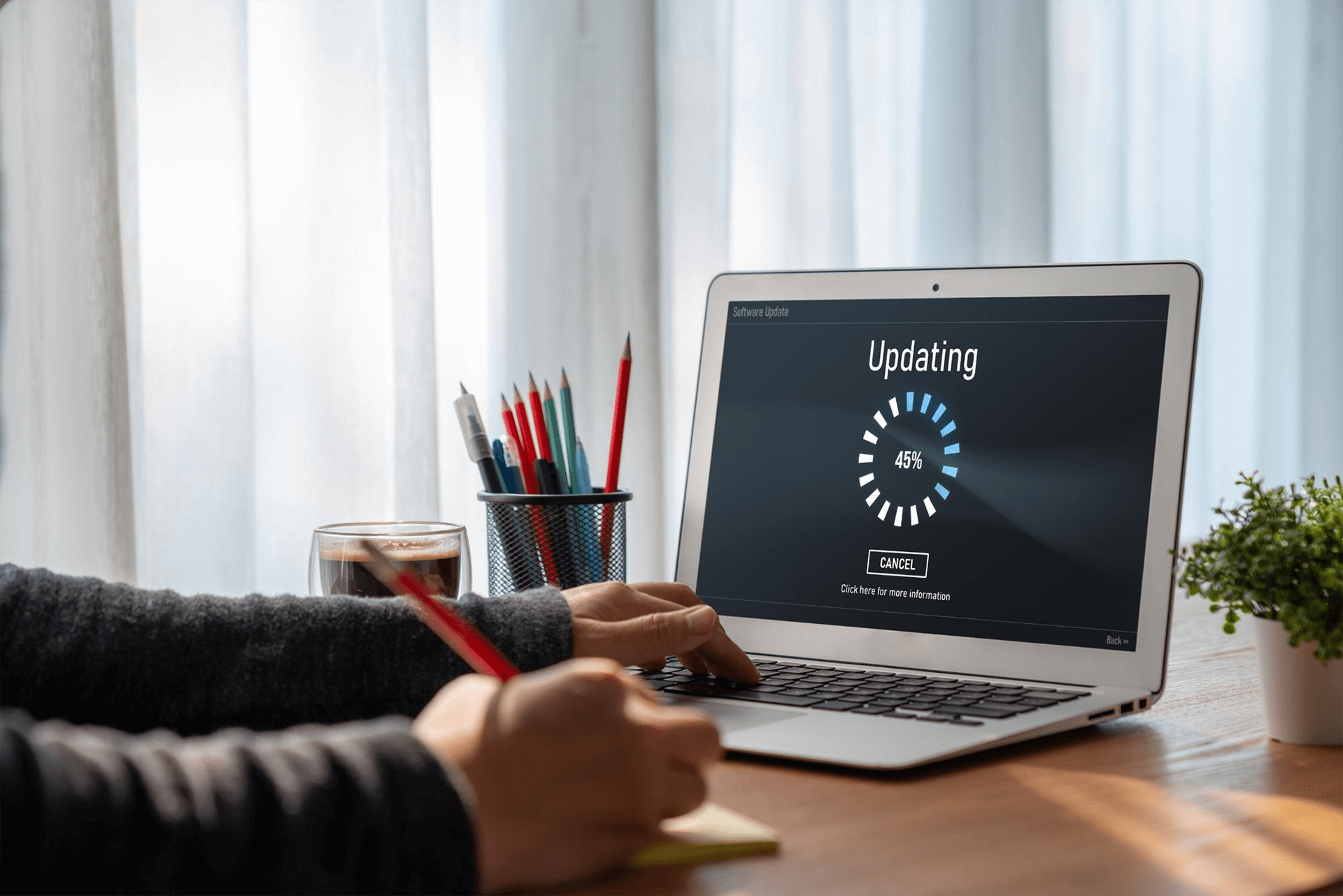 Search Marketing Plan